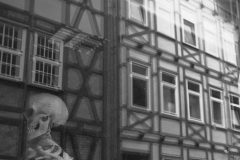 R0009756-scaled