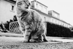 R0010338-scaled